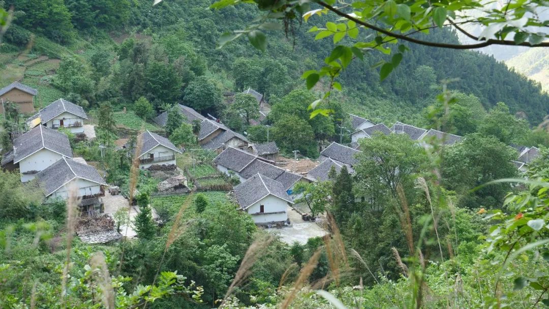 村级事务管理积分制(湖南省娄底市新化县吉庆镇油溪桥村)16.