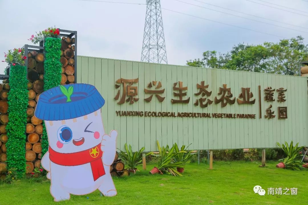 源兴生态园接待经理余少武说:"我们推出侧重农业体验的项目,包括蔬菜