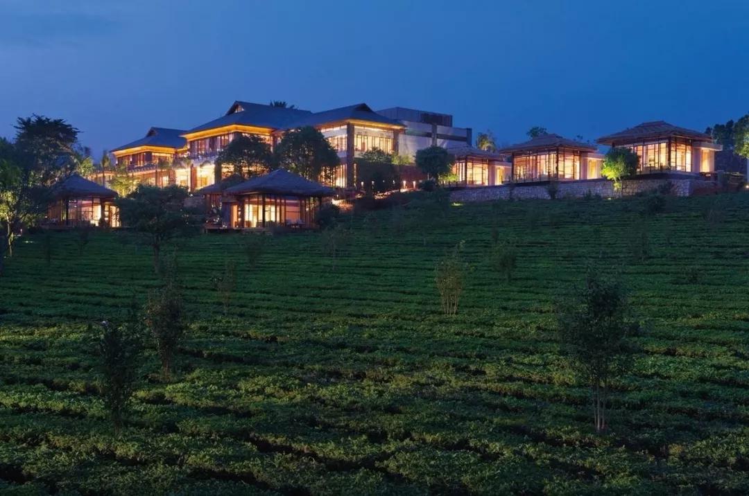 一个隐藏在茶山深处的精品庄园柏联普洱茶现代农业庄园