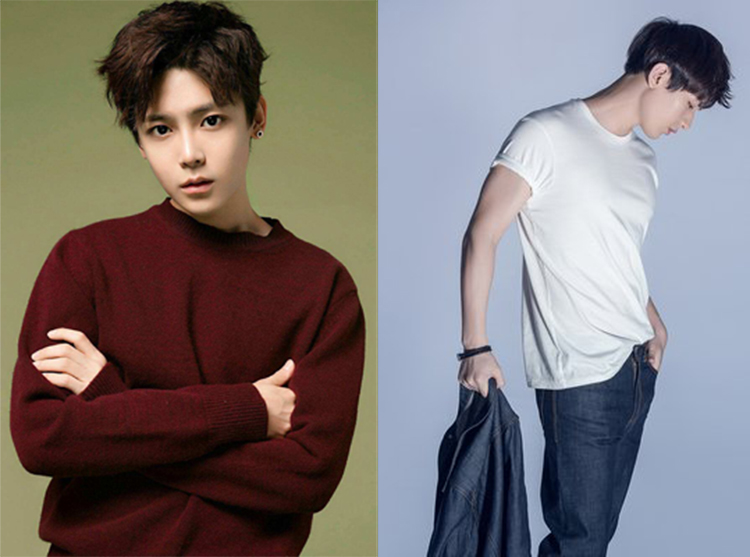 《怒海潜沙》结束,侯明昊成毅与你继续相约《秦岭神树》