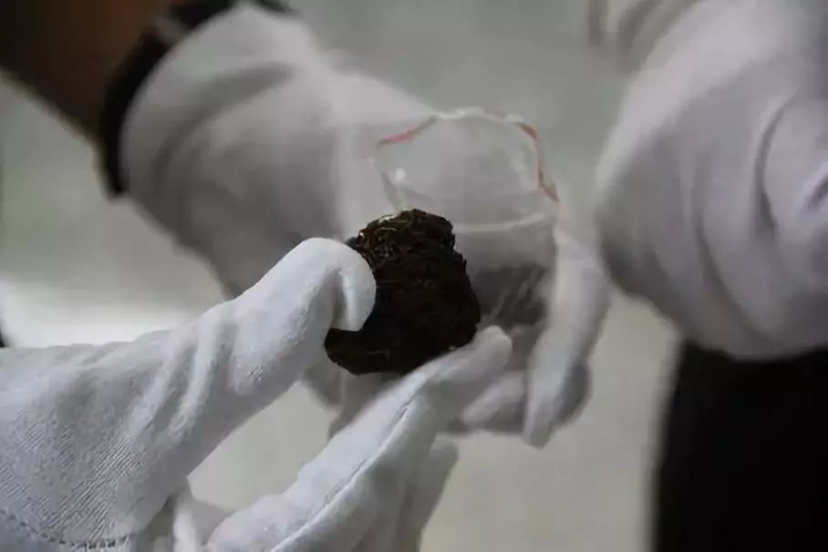 禁毒科普|云南边境地区流行的"卡苦"是一种什么毒品?