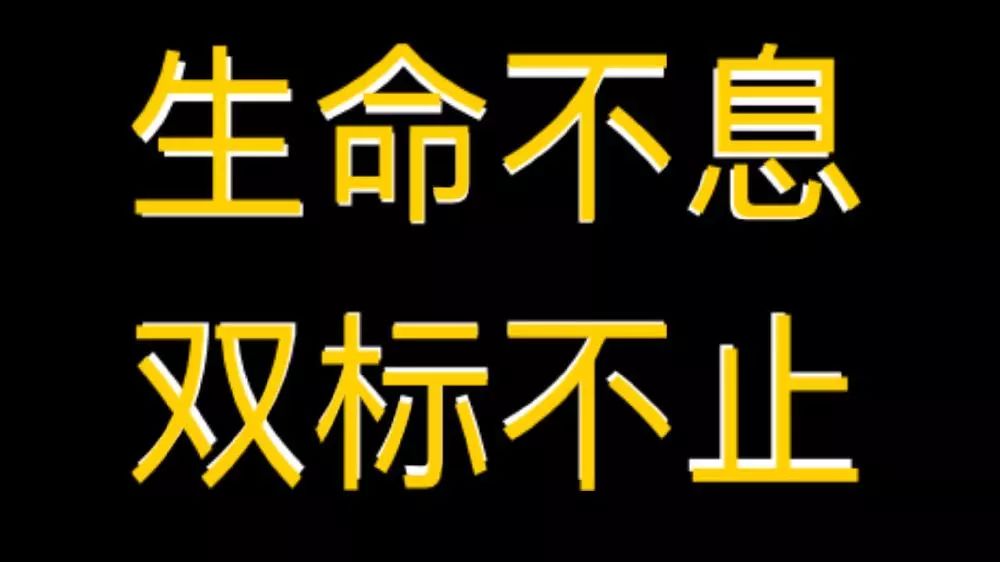 第2333届"双标"艺术大赏