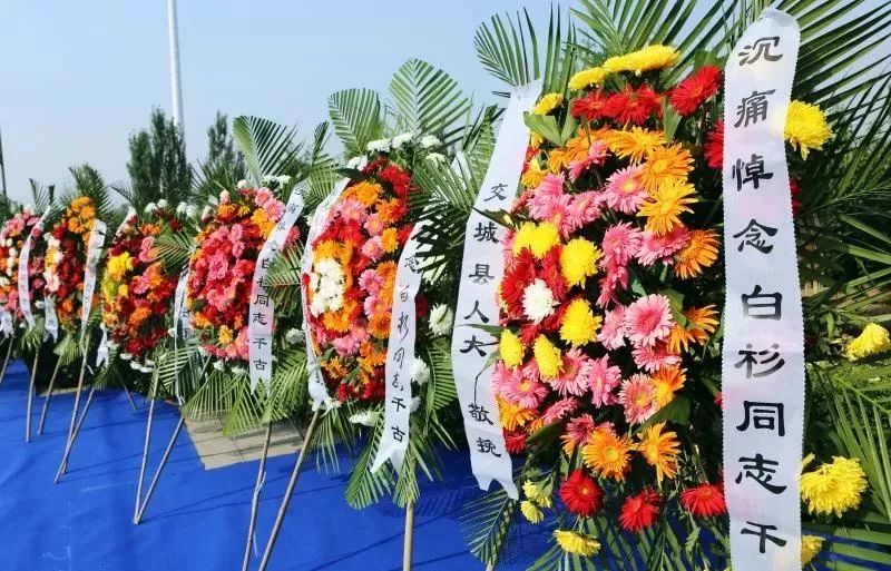 追悼现场简洁肃穆,正厅上方悬挂着黑底白字的横幅"沉痛悼念白杉同志"