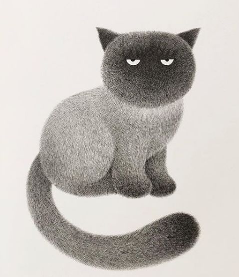 画面极度舒适他用一支5块钱的针管笔撸猫17万网友直呼这猫要活了