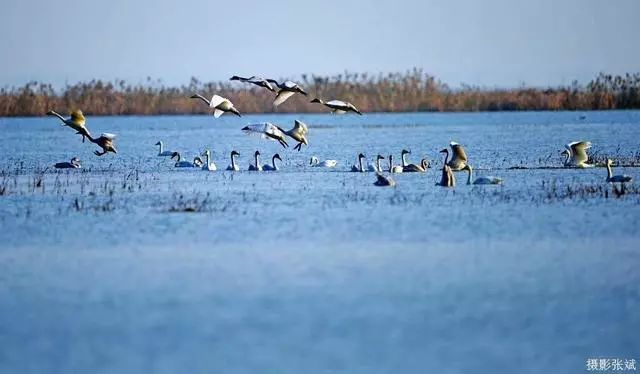 总投资316亿元亚洲最大平原人工水库宿鸭湖800万人民的聚宝盆