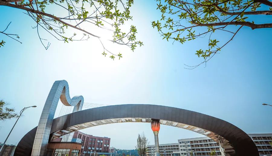 四川文化艺术学院2019年招生章程