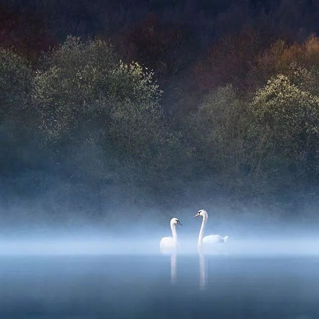 灵魂深处的东西,总是安静的