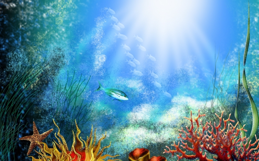 炎热的夏天,唯有心静才清凉