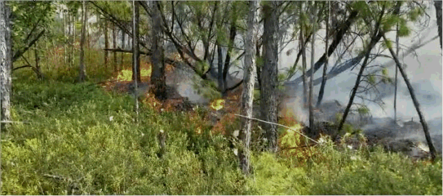 威头条丨3天6起雷击火情大兴安岭直面干雷暴频繁雷击火频发挑战