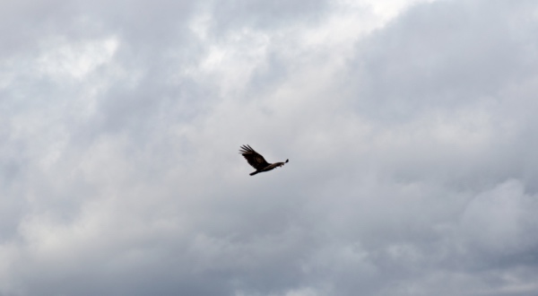 彩电业遭遇新“灾难”，虚标机返修机超低价618霸屏淘宝拼多多-家电圈官网