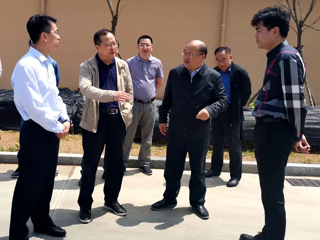 大连市人大调研组来庄河调研农业绿色发展情况