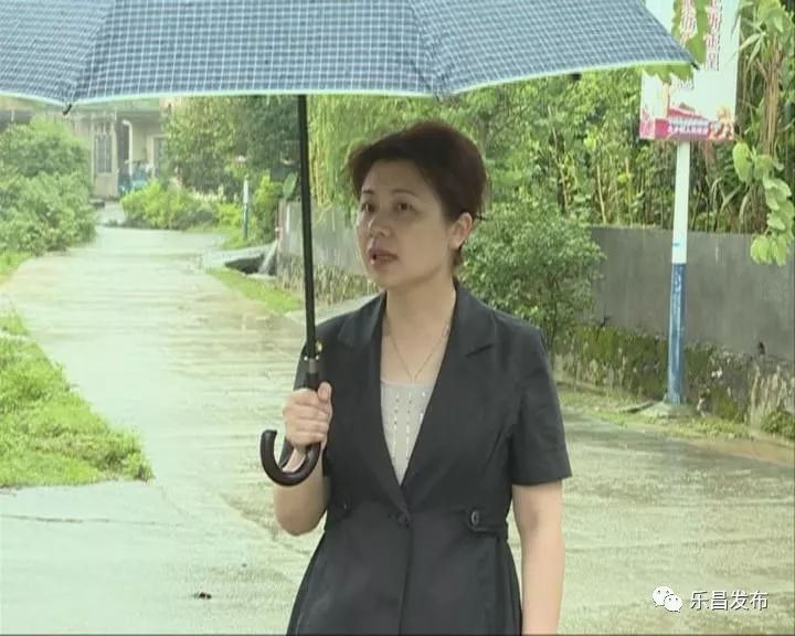 钟曦到北乡镇视察雨后农田受损情况