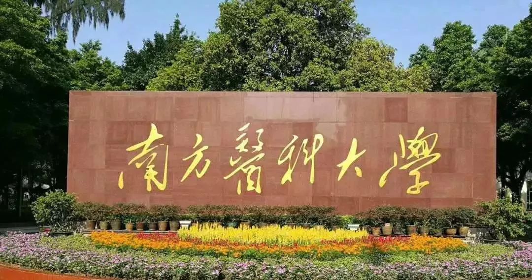 南方醫科大學2019年雲南省分專業招生計劃一覽表