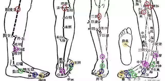 小白自学中医治病救急常用穴位五腧穴精华版
