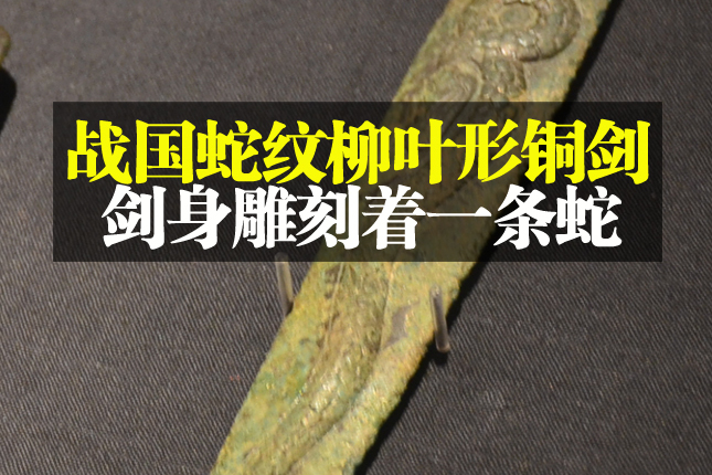战国的蛇纹柳叶形铜剑剑身雕刻着一条蛇