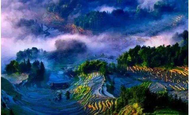 国内旅游文化达尔滨湖湖南紫鹊界梯田新疆赛里木湖红毛柳