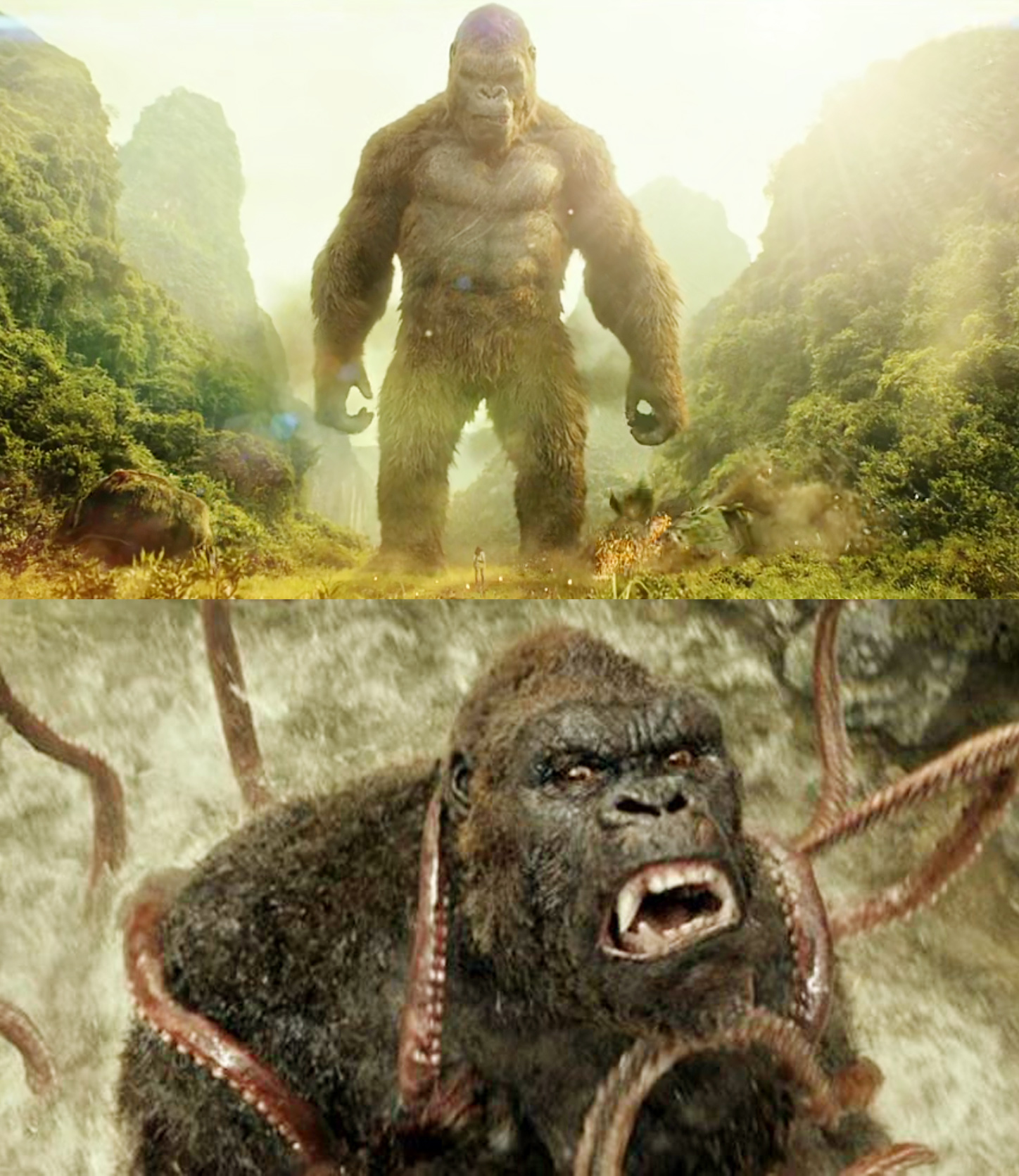 《哥斯拉2》哥总召开御前会议,靓仔没来朝拜,网友:金刚快发育_怪兽