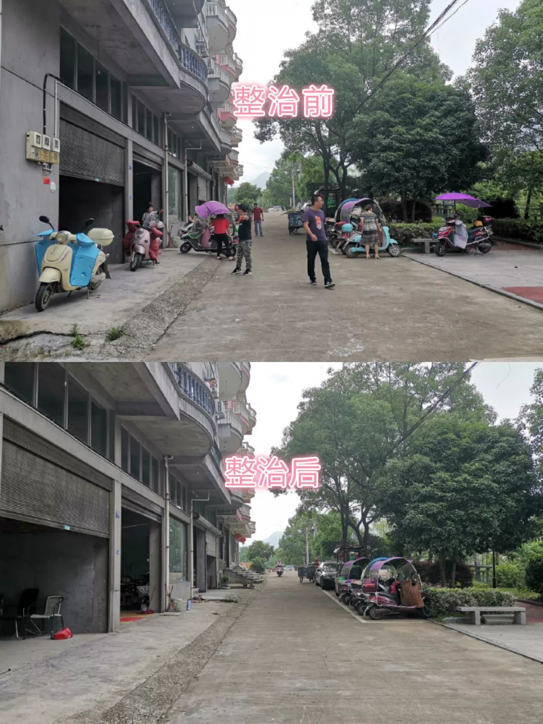 剑指多乱河头镇开展多乱整治行动