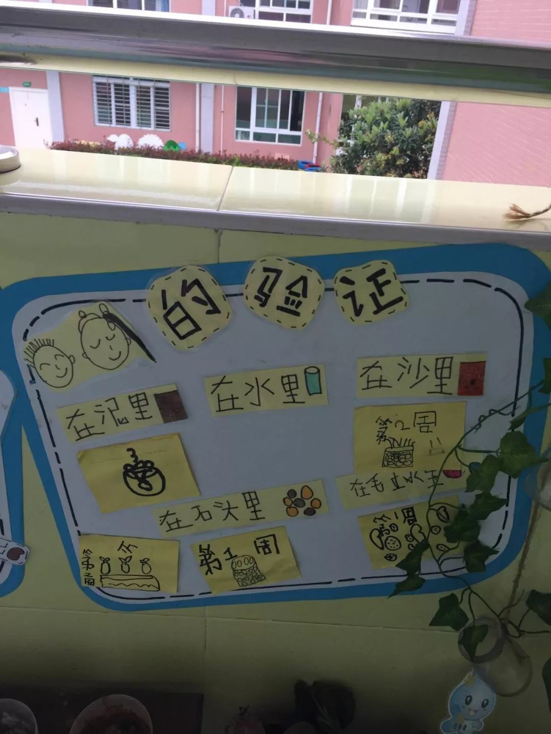 图说幼教丨走进邵武市水北幼儿园乐水课程下的主题活动与环境创设