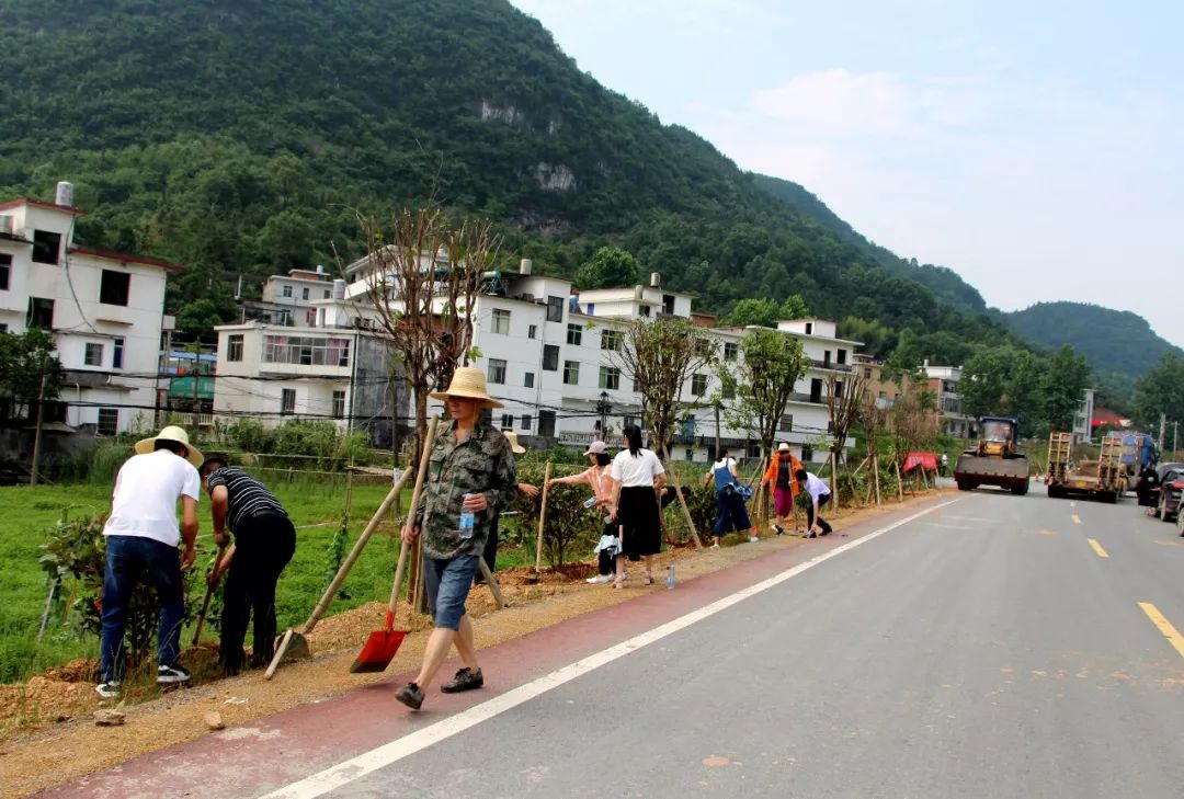 【宜居美县】昨日,杨宣公路迎来了260余名"美容师"