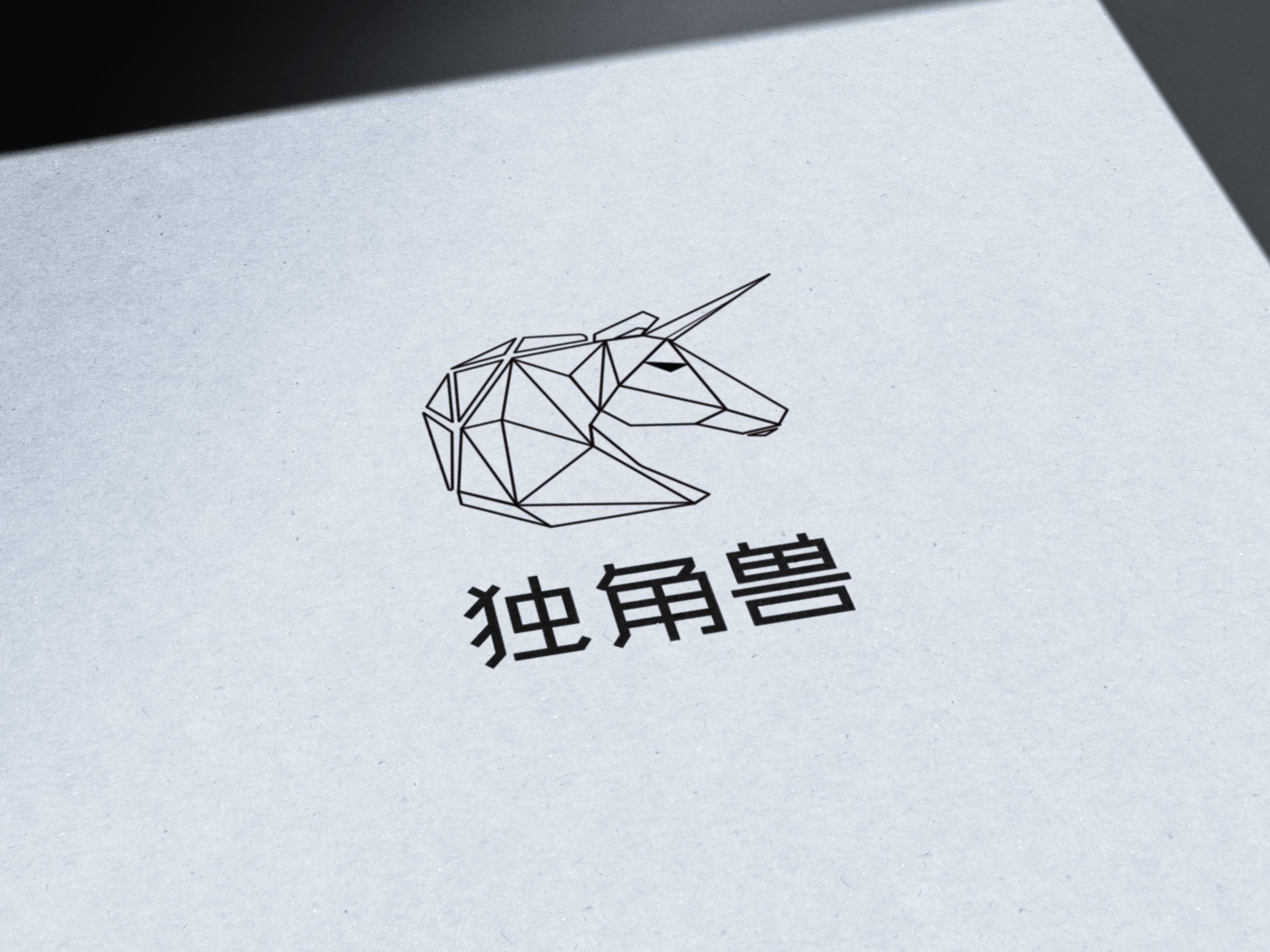 2019年南京市独角兽瞪羚企业发展白皮书发布南京市独角兽企业已达13家