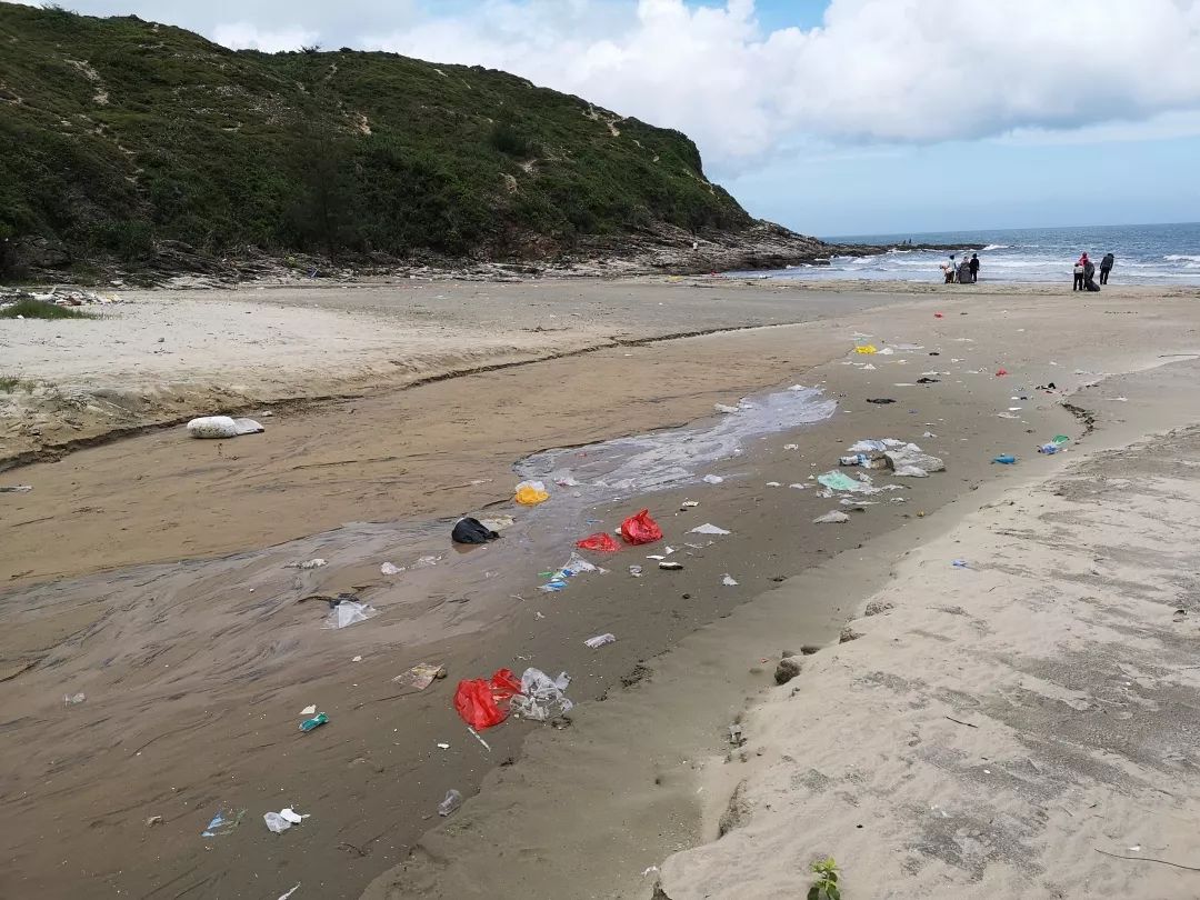 世界环境日——捡拾在中国,我们用实际行动还惠州海滩一片洁净!_垃圾