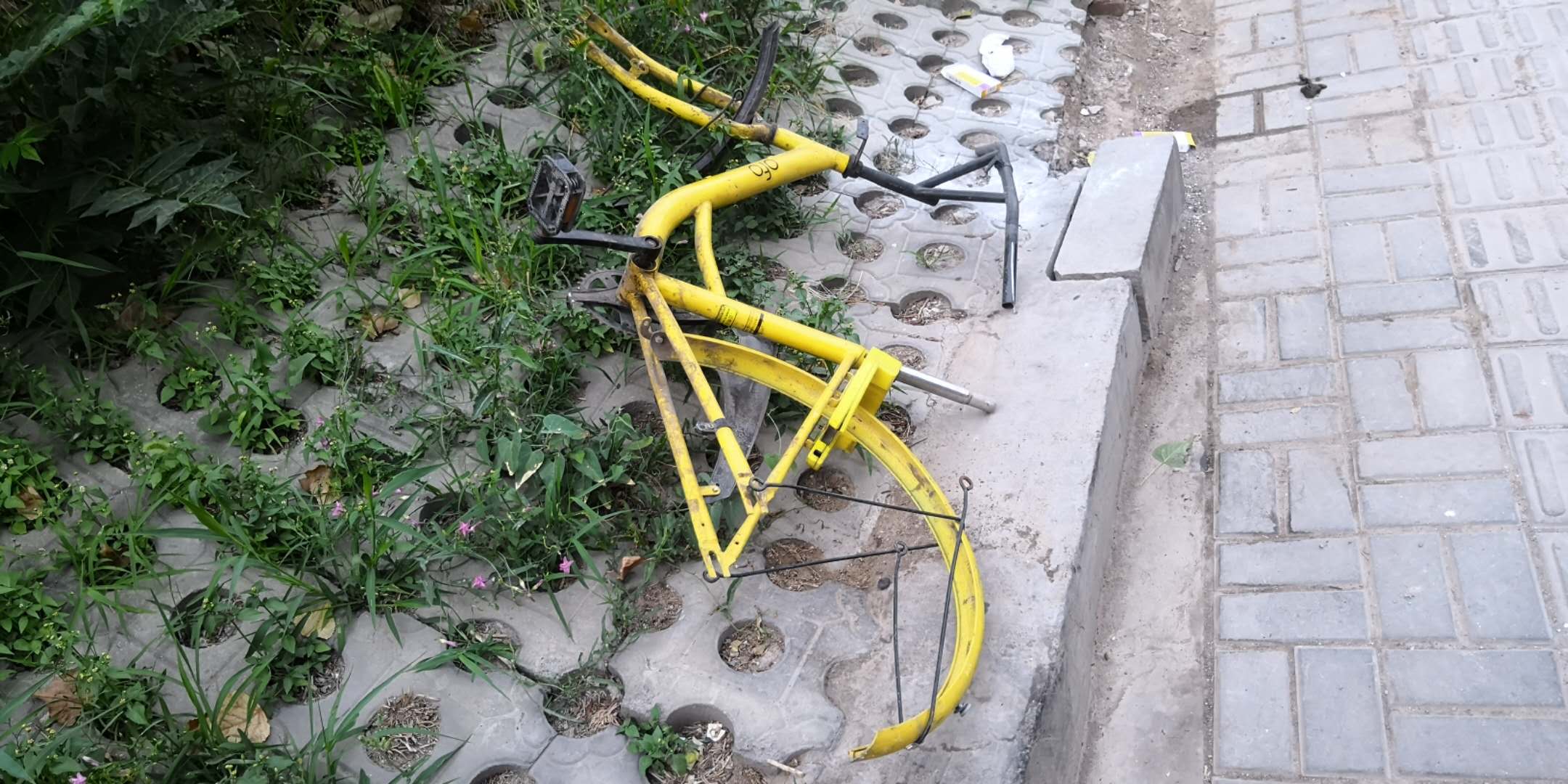 最可怜的共享单车小黄车