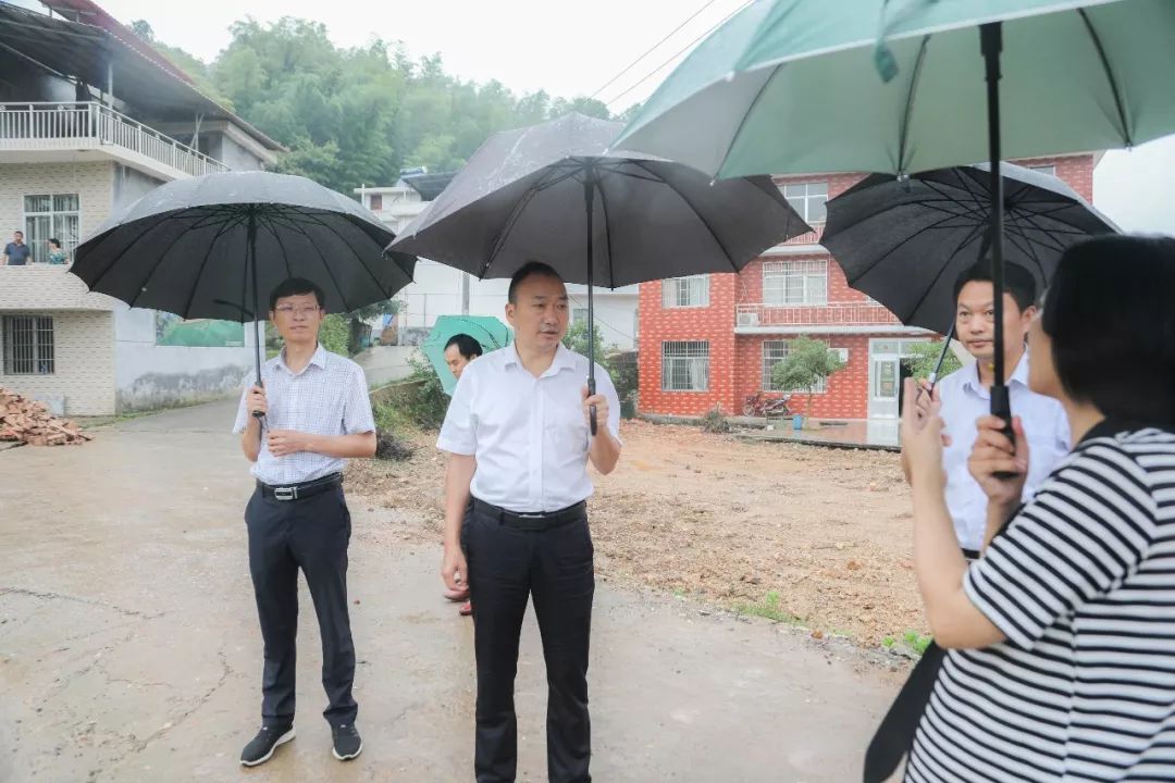 在湘东镇新湄村,江口村,杨博一行实地踏看了新农村建设工作进展情况