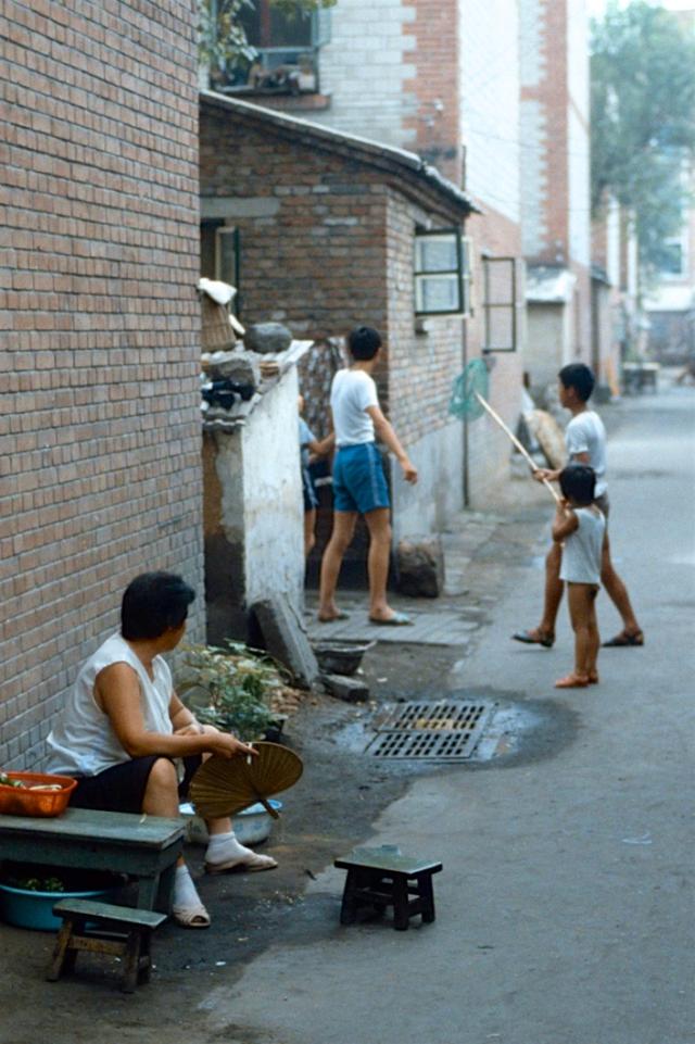 八十年代京城生活,夏日里的北京人