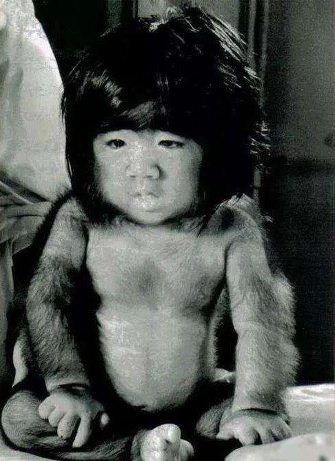 上下而求索经过四十多年的岁月,曾经的"毛孩"已经蜕变成了今日的"金刚