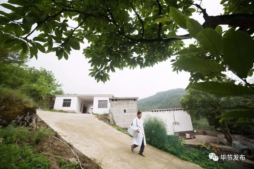 毕节大方县"猪倌": 80后大学生回乡带动全村致富_王瑜