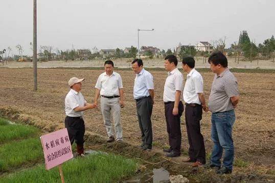 致敬劳动者奋进新时代张银贵三水卫士的为农情怀