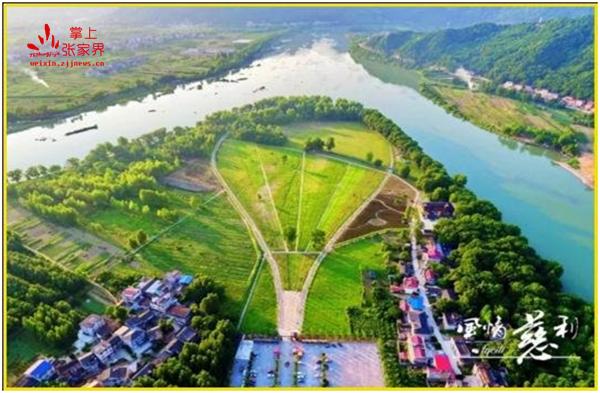 百日草花盛开的的旺盛时节,此时的慈利县琵琶花海已是花的海洋,香气