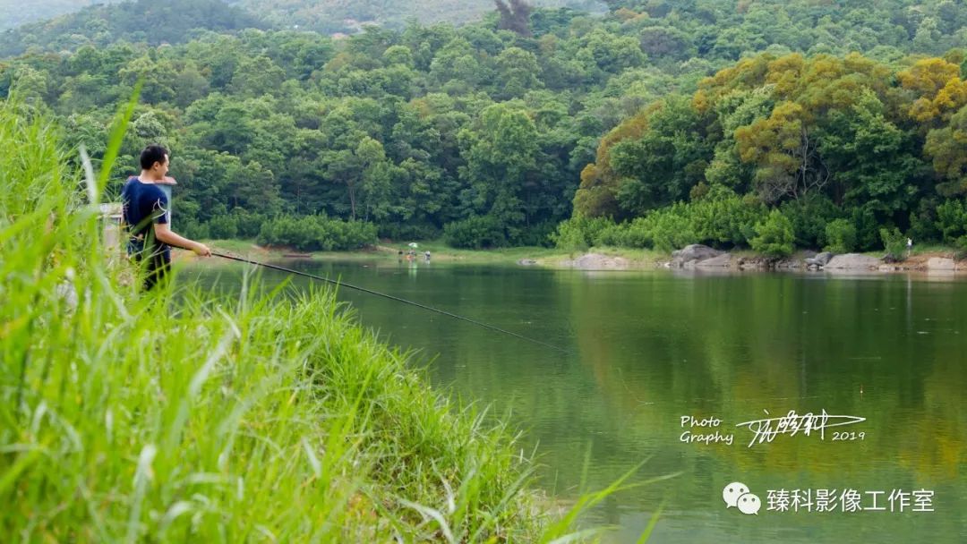 原创莆田这座已经61岁的小水库藏在小山坳里的青山绿水