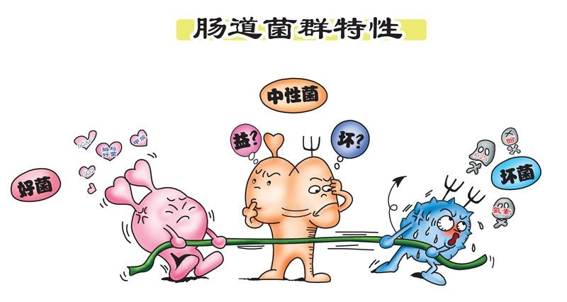关爱健康改善肠道环境_微生物