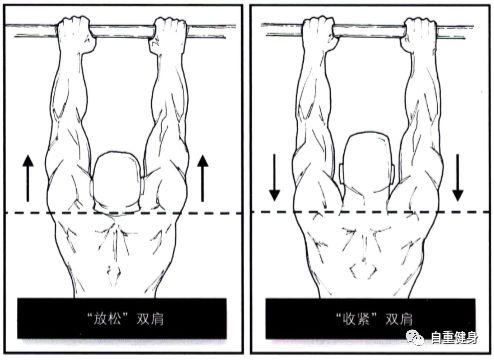 双肩收紧:当你在练习悬吊时,你应该保持双肩收紧,以防止受伤或关节