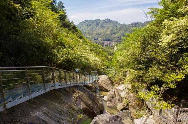 夏日避暑行访吉尼斯纪录景区平江碧龙峡一日游记