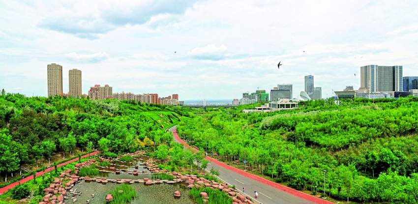 乌鲁木齐小绿谷央视圈粉