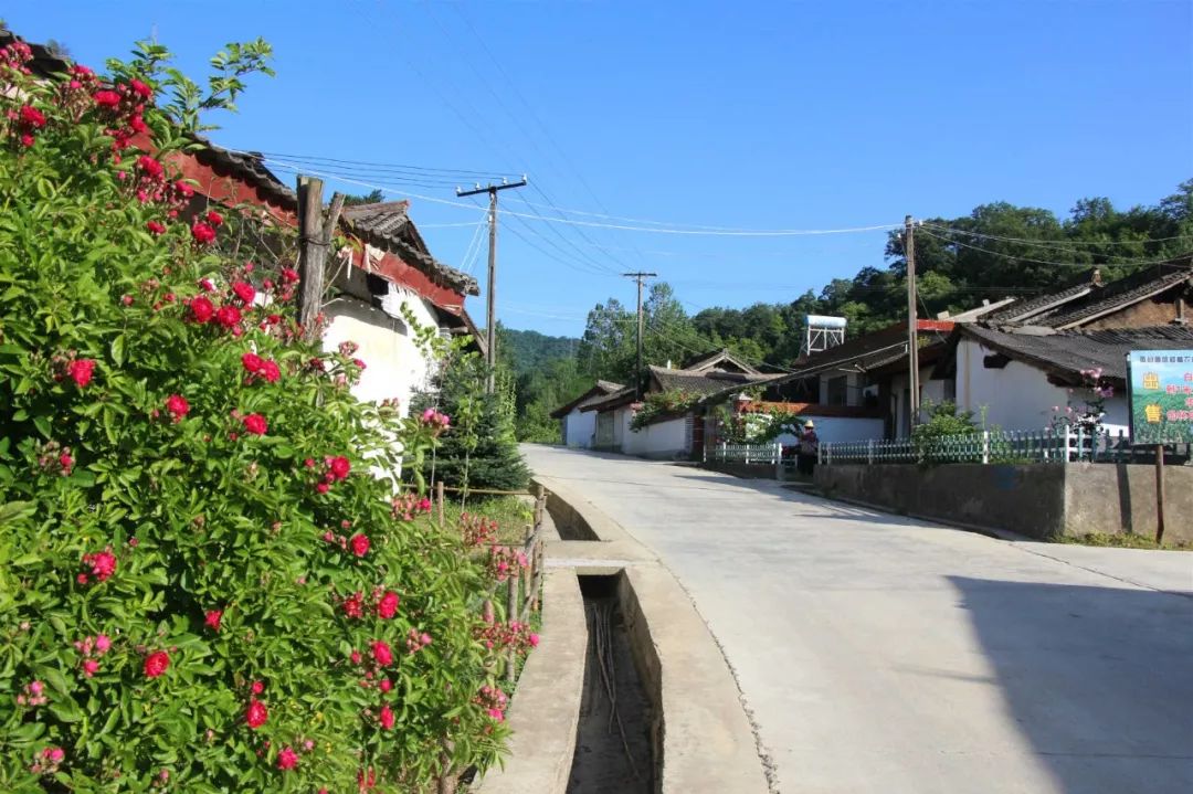 徽县高桥动态伏家镇观摩交流组深入高桥镇观摩交流人居环境整治工作