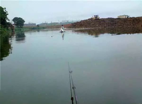 钓鱼者抓住一条水律蛇,回家龙飞配,称可美餐一顿