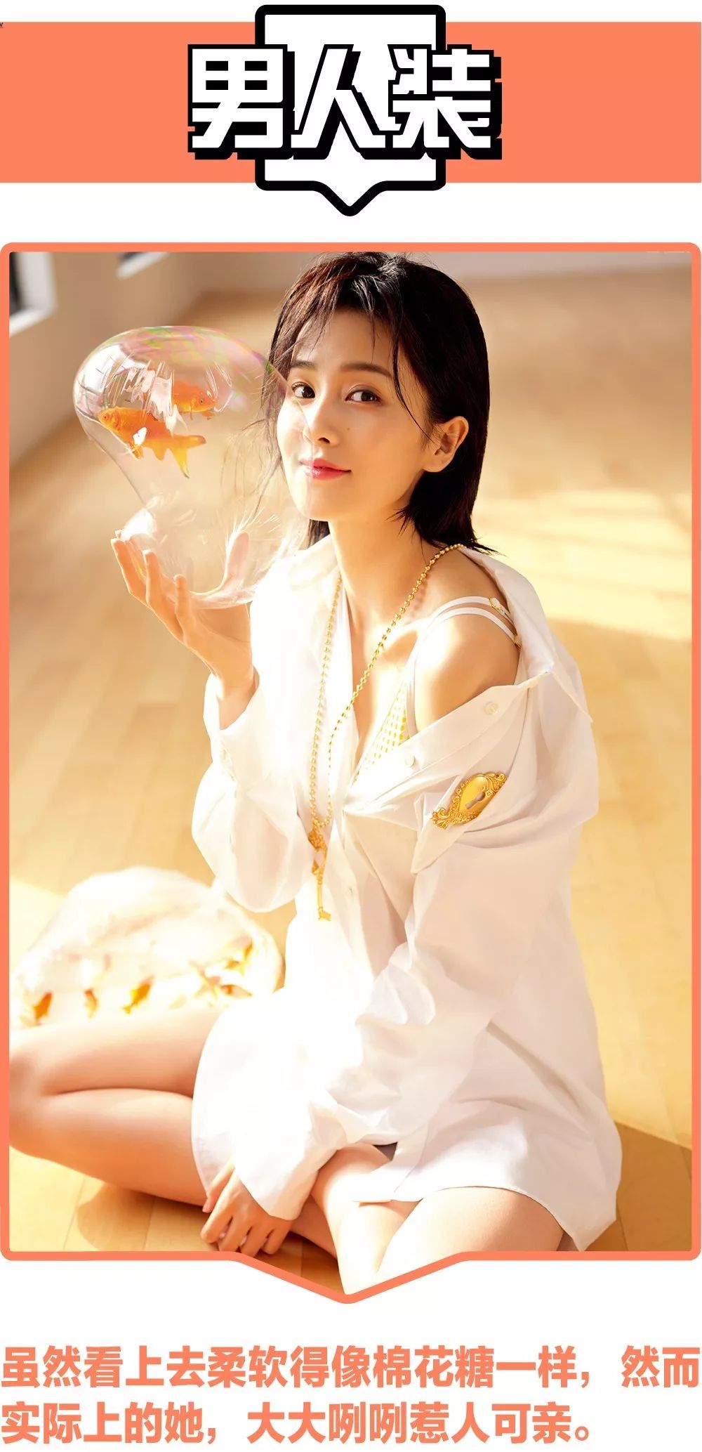 白鹿我只是外表柔软