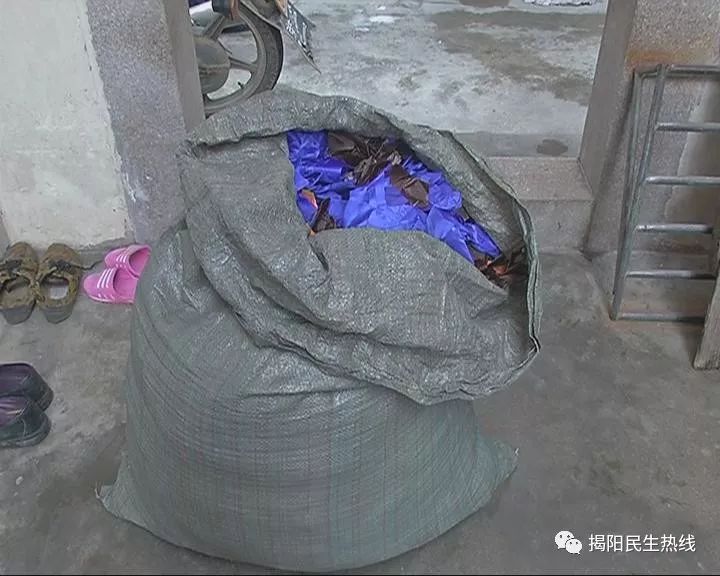 寻找失主!男子半路捡到大麻袋,没想到竟然是可爱的