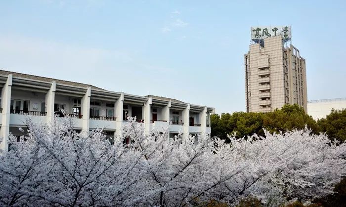 千锦初呈缤纷可期高风中学2019届卓越班高考7选3三位一体招生学科竞赛