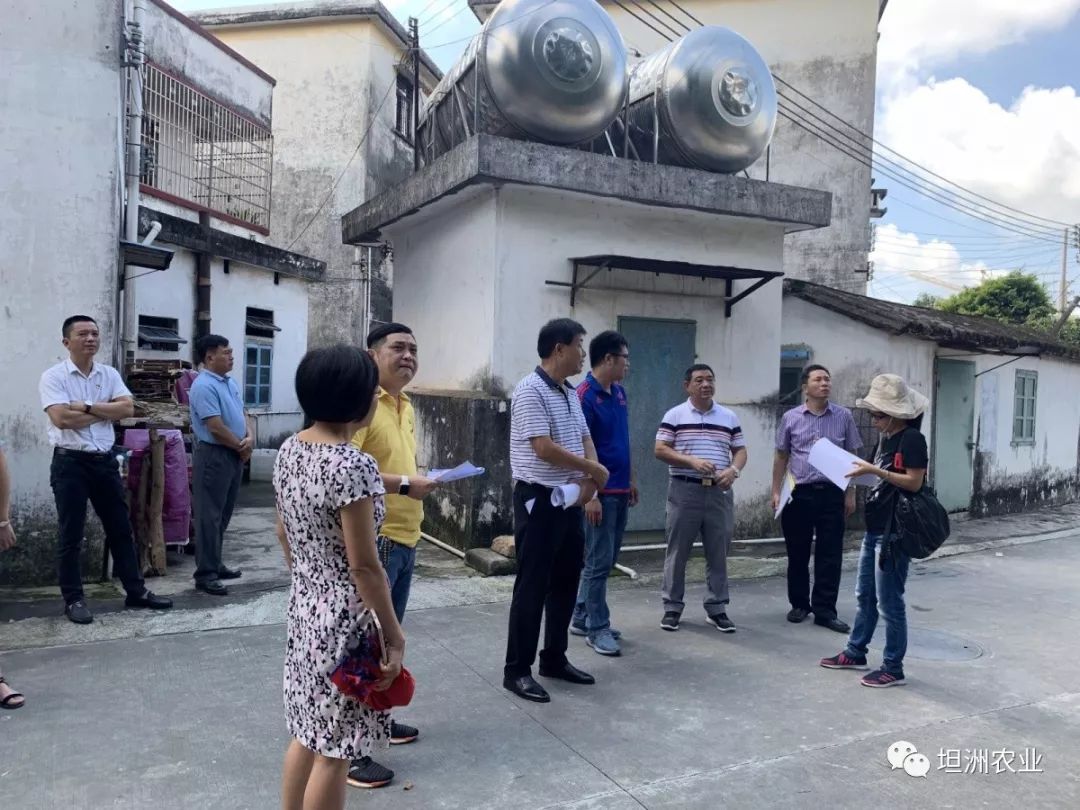 近日,中山市委乡村振兴办副主任卢广锦带队到坦洲镇新前进村,坦洲村