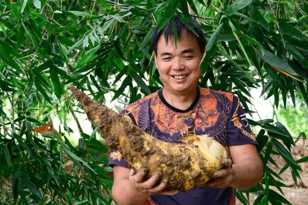 笋场直供的11年食笋老字号带你寻味一年仅一季的至鲜沙口笋