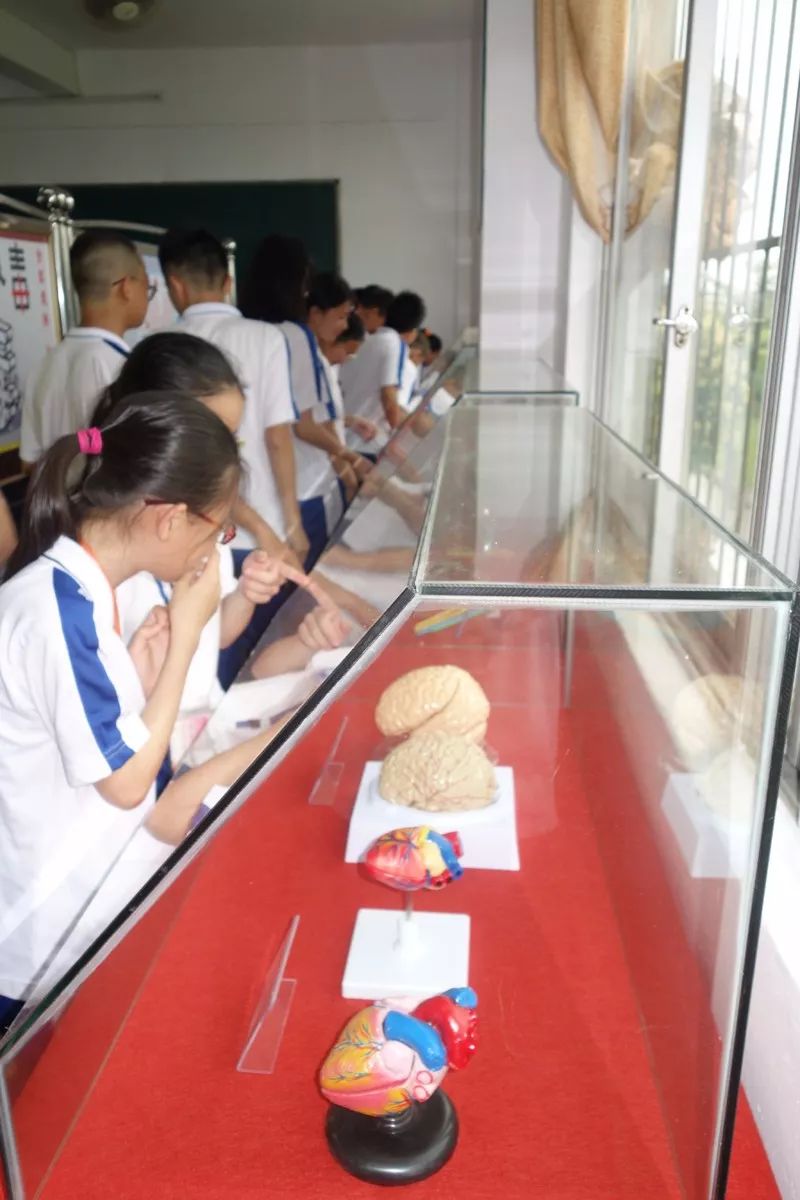 宣传月动态占陇中学举行禁毒宣传教育系列活动