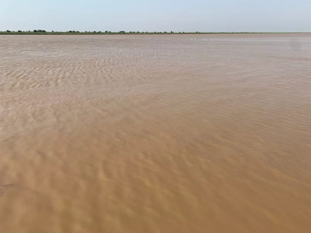 黃河入海流