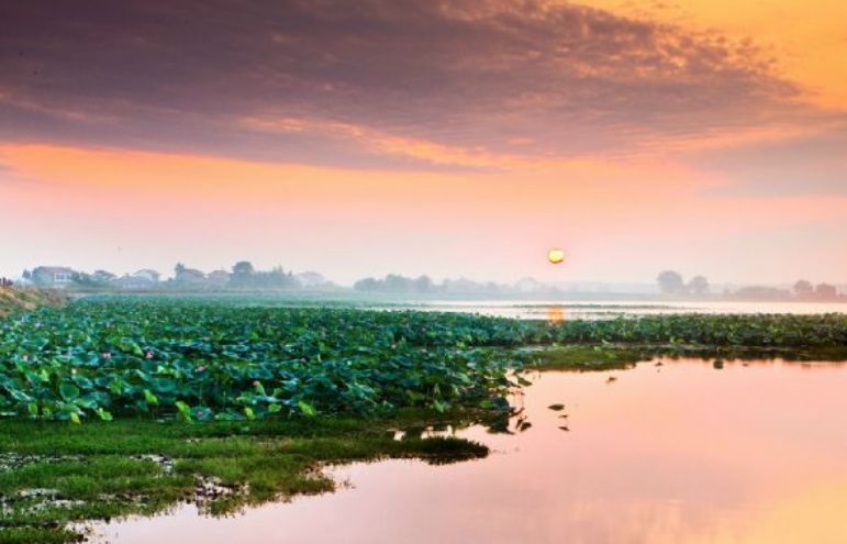 【信息发布】国家发改委推介西洞庭管理区国家农村产业融合发展示范园