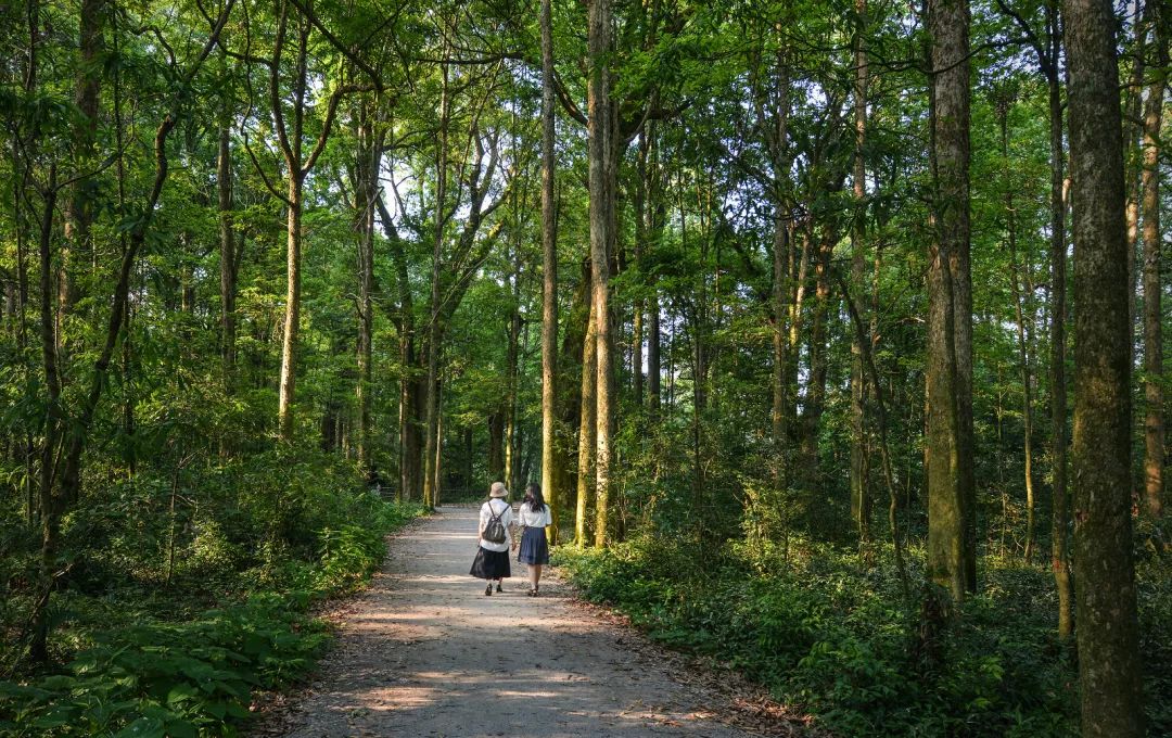 小编双手奉上建阳至今还保存有朱子林,宋慈纪念馆,蔡元定西山纪念园