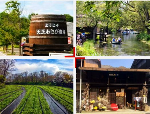 【日本研学】--8月特色农场田园文旅项目实地考察研学